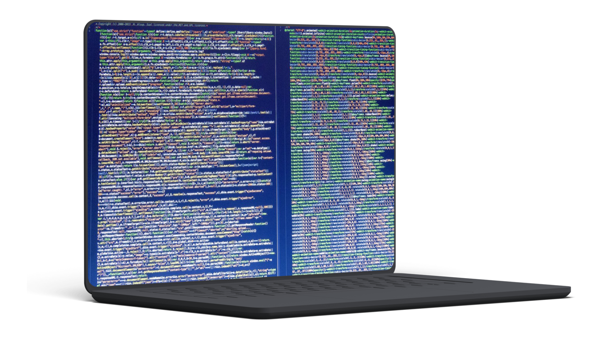 Digital Asset